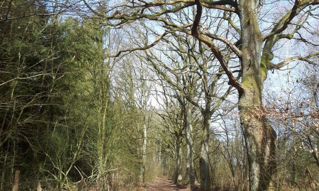Fahrradtour Nordkurve Hamburg